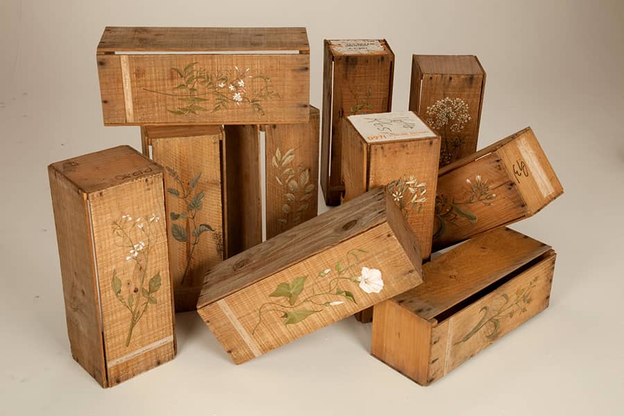 Orchard weed boxes